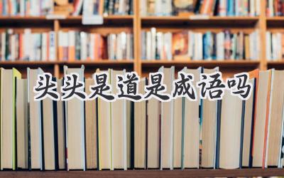 头头是道是成语吗