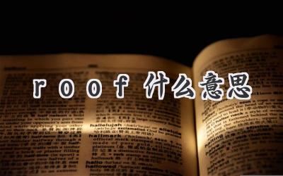 roof什么意思