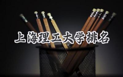 上海理工大学排名
