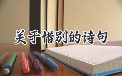 关于惜别的诗句