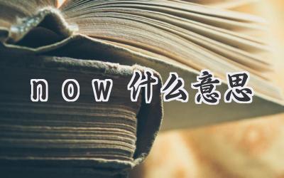 now什么意思