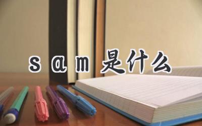 sam是什么
