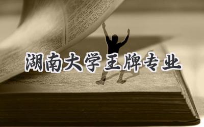 湖南大学王牌专业