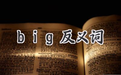 big反义词