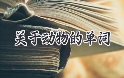 关于动物的单词