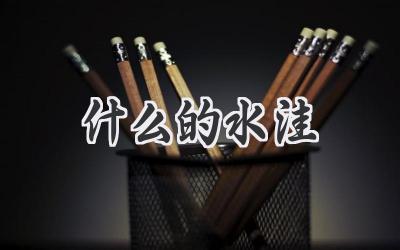 什么的水洼