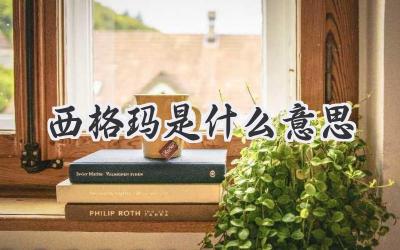 西格玛是什么意思