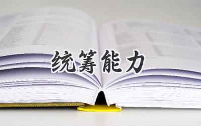 统筹能力