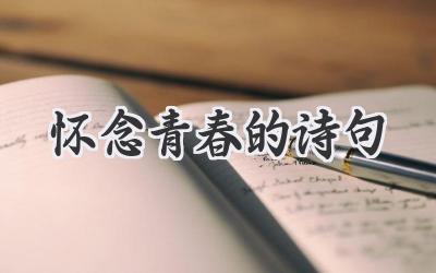 怀念青春的诗句