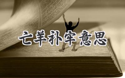 亡羊补牢意思