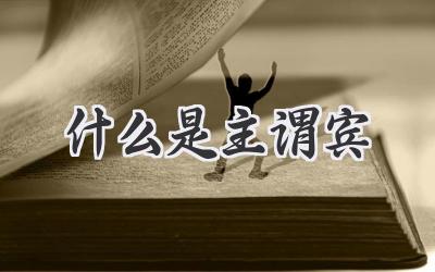 什么是主谓宾