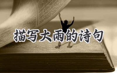 描写大雨的诗句
