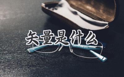 矢量是什么